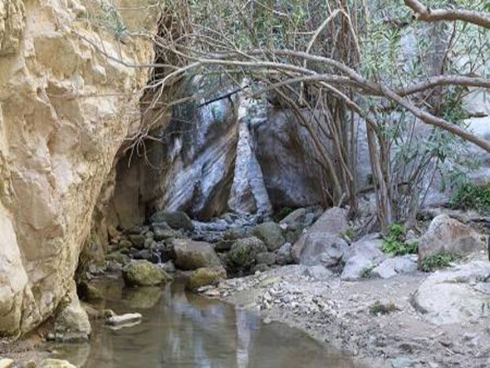 AVAKAS GORGE