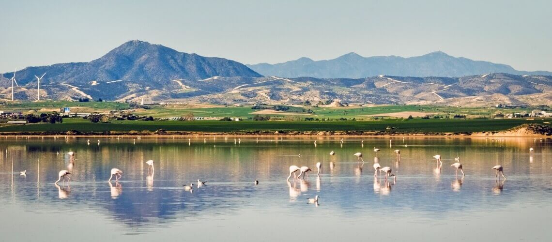 LARNACA SALT LAKE