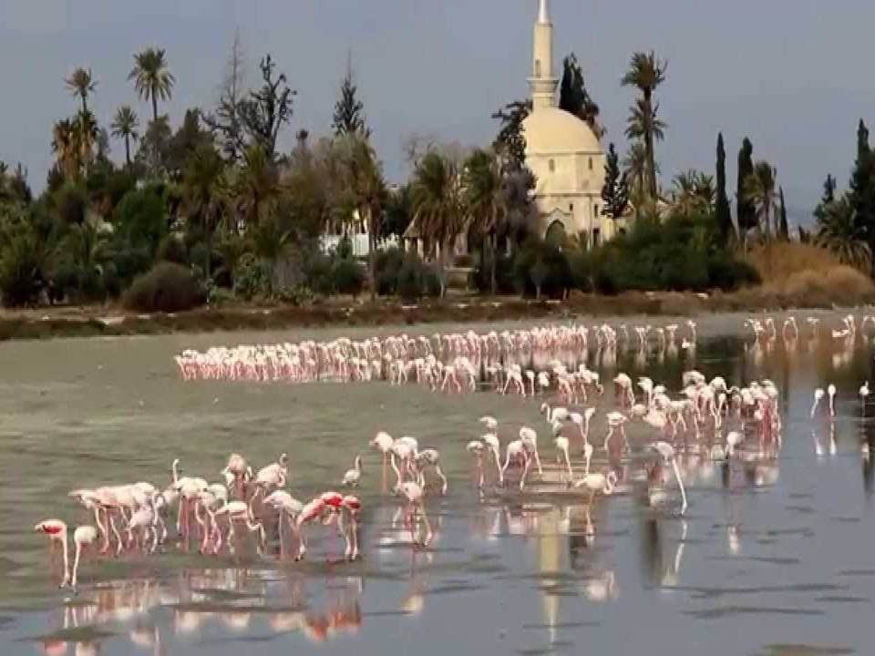 LARNACA SALT LAKE