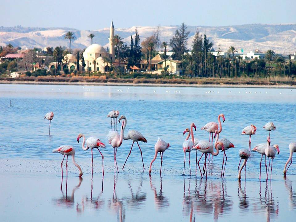 LARNACA SALT LAKE