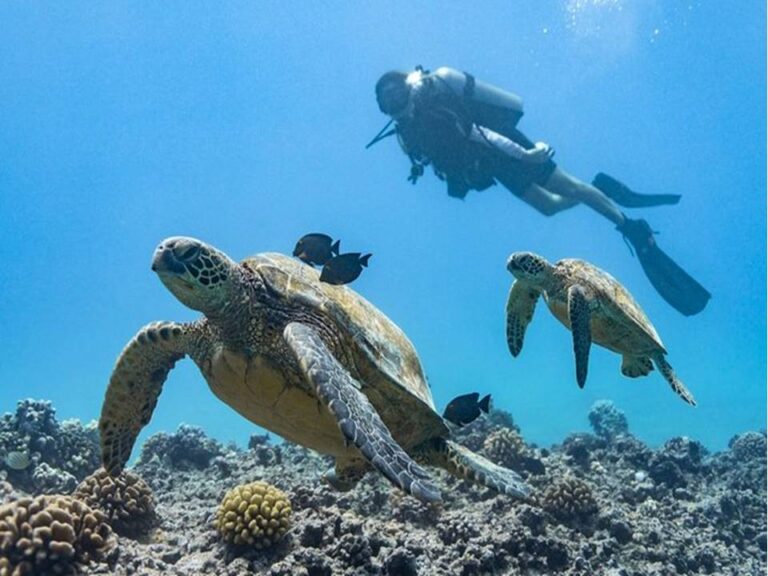 Scuba Diving Paphos Cyprus Scuba Diving Paphos Cyprus